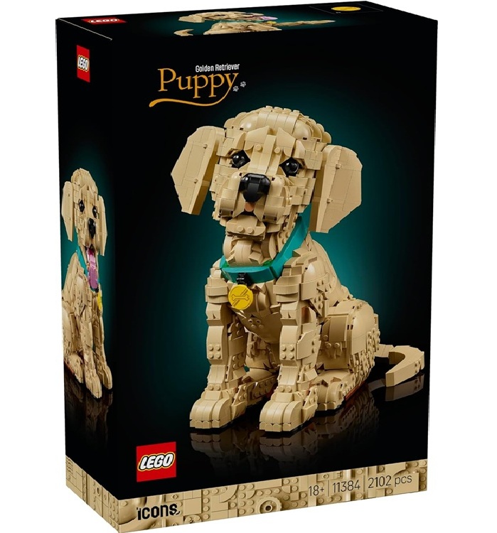 LEGO Icons Cucciolo di Golden Retriever – Kit Modellismo per Adulti – Modello 3D di Animale da Esposizione con Collare e Medaglietta per Cane – Decorazione Fai da Te – Idea Regalo Artigianale – 11384